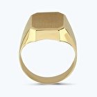 Altın Erkek Yüzük